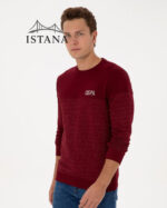 بلوز مردانه برند یو اس پولو Us polo Erkek Regular Fit Bisiklet Yaka Bordo Sweatshirt 50316380-VR014 - Image 4