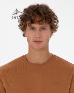 بلوز مردانه برند یو اس پولو Us poloErkek Comfort Fit Bisiklet Yaka Şardonlu Camel Basic Sweatshirt 50313757-VR233 - Image 7