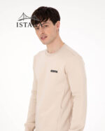 بلوز مردانه برند یو اس پولو Us polo Erkek Regular Fit Bisiklet Yaka Taş Sweatshirt 50292362-VR049 - Image 3