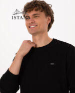 بلوز مردانه برند یو اس پولو Us polo Erkek Bisiklet Yaka Regular Fit Petek Dokulu Siyah Sweatshirt 50316304-VR046 - Image 5