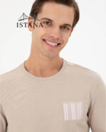 بلوز مردانه برند یو اس پولو Us polo Erkek Regular Fit Bisiklet Yaka Taş Sweatshirt 50290252-VR049 - Image 2