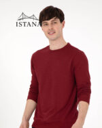 بلوز مردانه برند یو اس پولو Us polo Erkek Regular Fit Bisiklet Yaka Bordo Sweatshirt 50290063-VR014 - Image 3