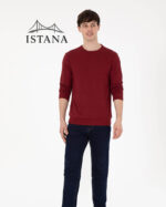 بلوز مردانه برند یو اس پولو Us polo Erkek Regular Fit Bisiklet Yaka Bordo Sweatshirt 50290063-VR014 - Image 4
