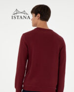 بلوز مردانه برند یو اس پولو Us polo Erkek Regular Fit Bisiklet Yaka Bordo Sweatshirt 50293436-VR014 - Image 2