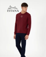 بلوز مردانه برند یو اس پولو Us polo Erkek Regular Fit Bisiklet Yaka Bordo Sweatshirt 50293436-VR014 - Image 4